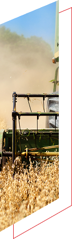 Harvesting equipment working in a dusty field.