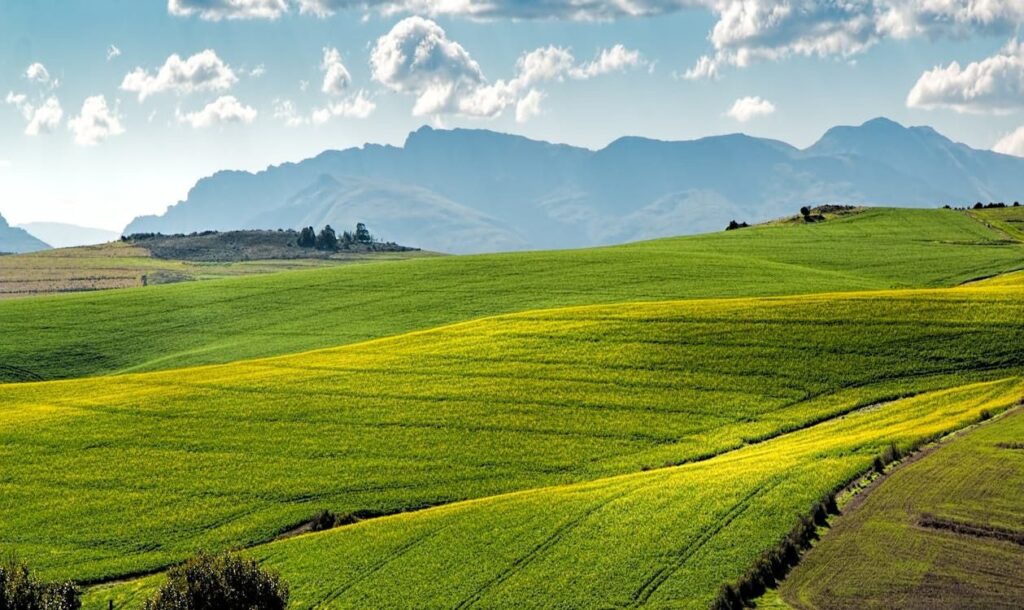 Vast green fields with mountains in the background.