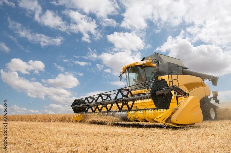 Yellow combine harvester in a wheat field.