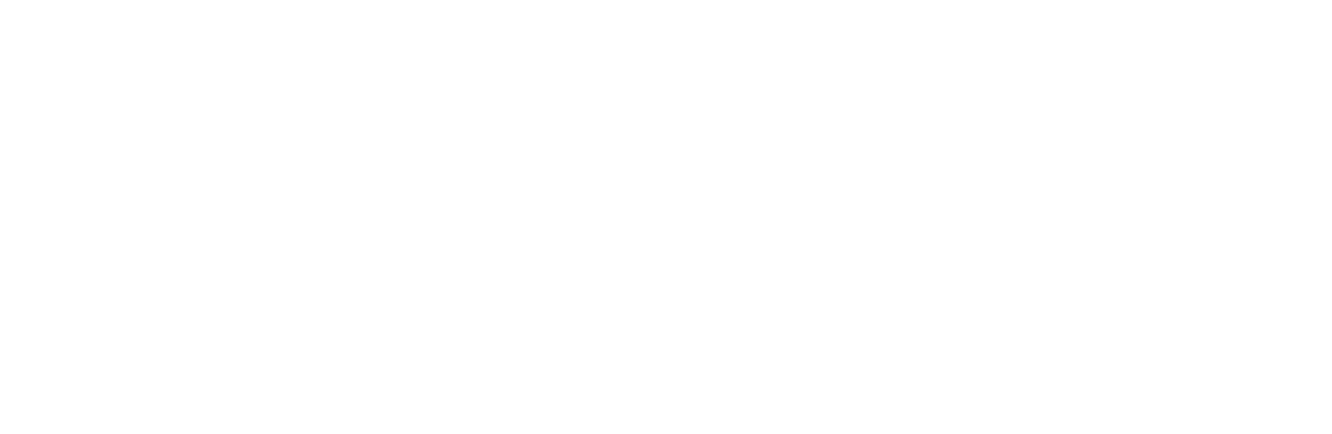 VitalEdge Evolve 2027 Logo